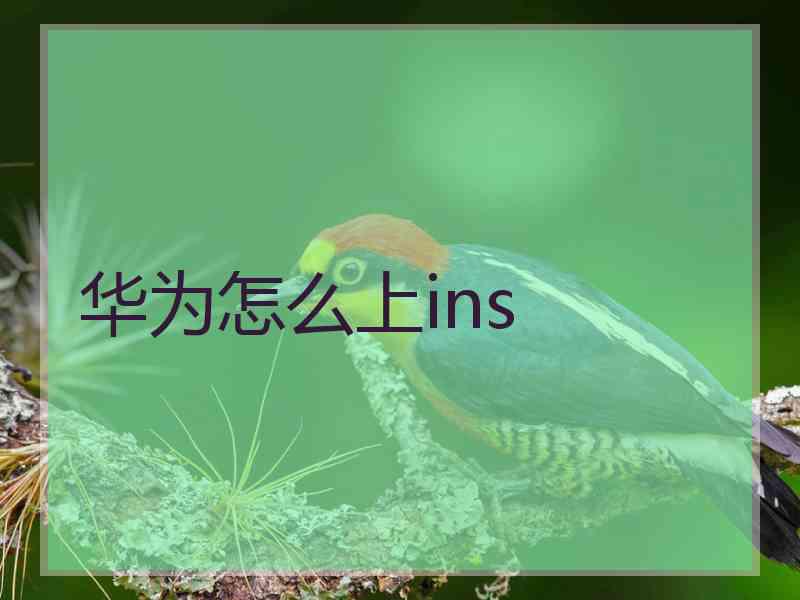 华为怎么上ins