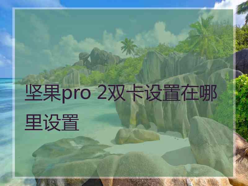 坚果pro 2双卡设置在哪里设置