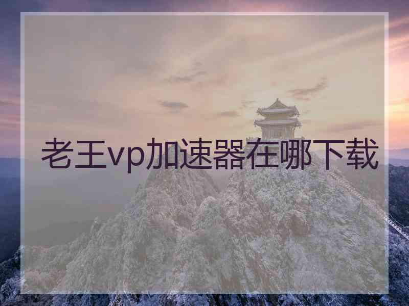 老王vp加速器在哪下载