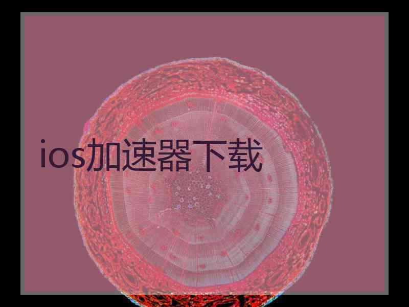 ios加速器下载