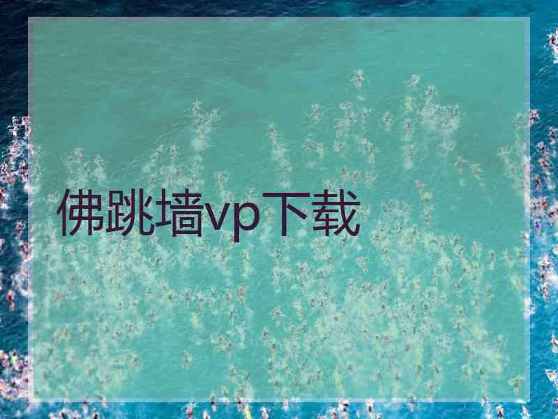 佛跳墙vp下载