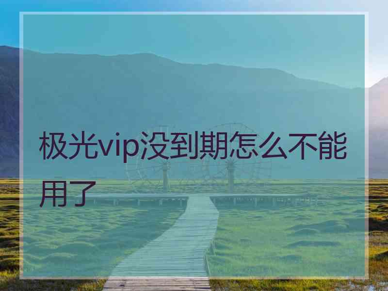 极光vip没到期怎么不能用了