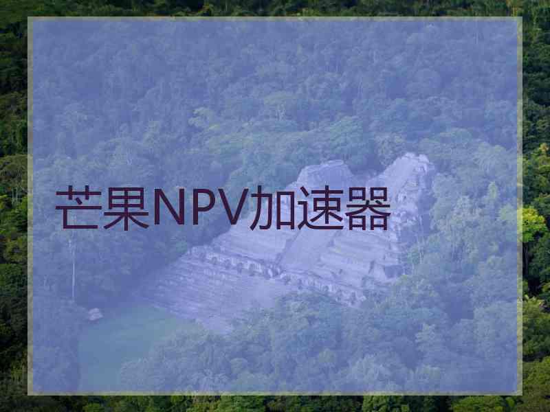 芒果NPV加速器