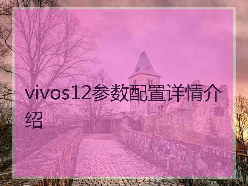 vivos12参数配置详情介绍