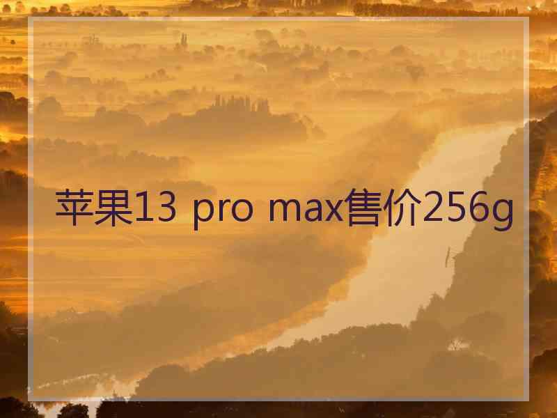 苹果13 pro max售价256g