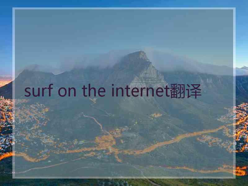 surf on the internet翻译