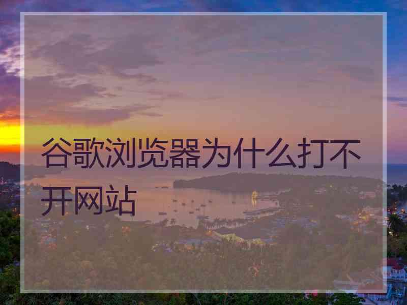 谷歌浏览器为什么打不开网站