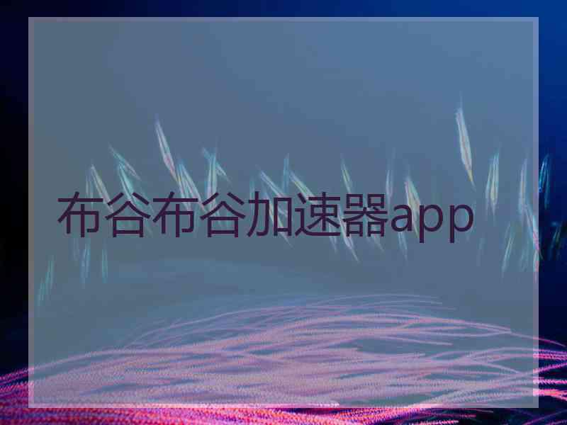 布谷布谷加速器app