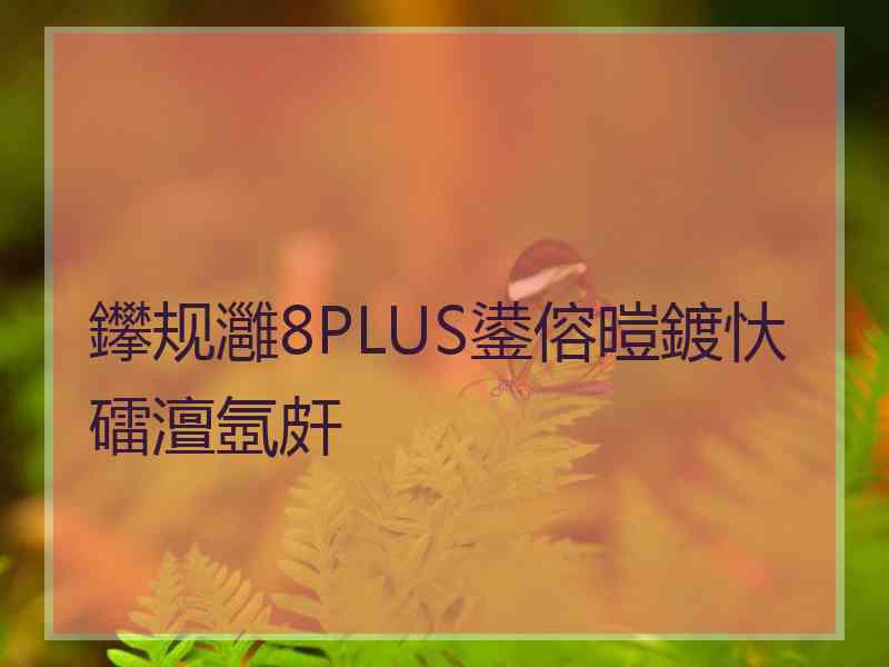 鑻规灉8PLUS鍙傛暟鍍忕礌澶氬皯