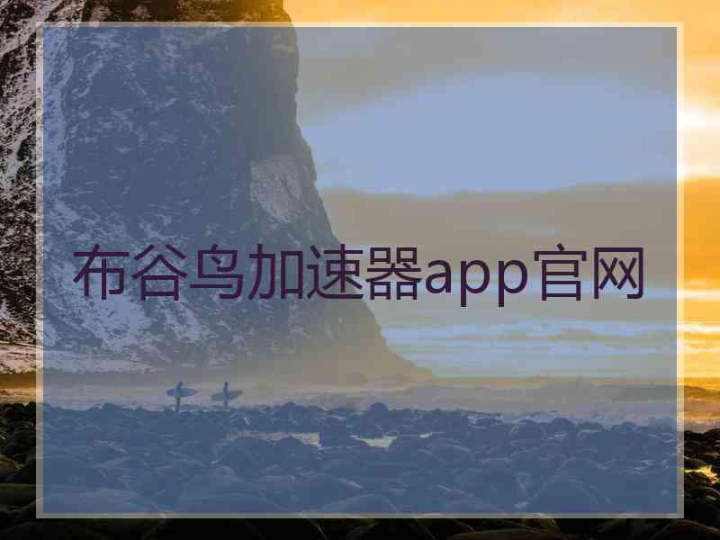 布谷鸟加速器app官网