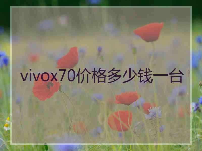 vivox70价格多少钱一台