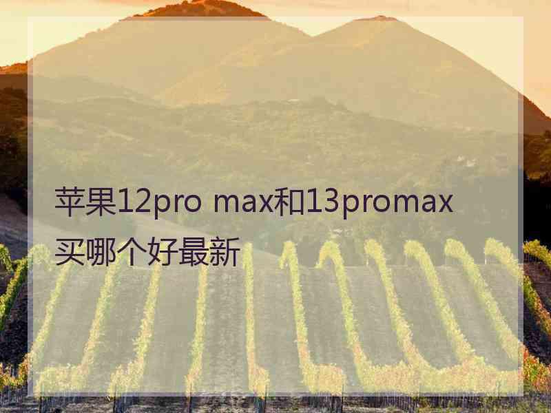 苹果12pro max和13promax买哪个好最新