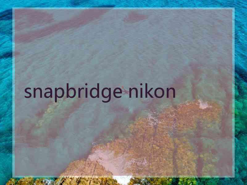 snapbridge nikon