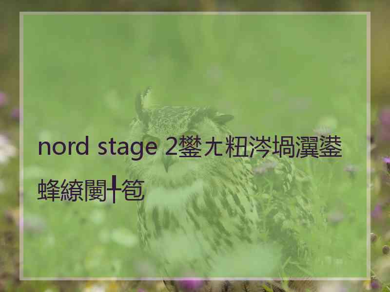 nord stage 2鐢ㄤ粈涔堝瀷鍙蜂繚闄╀笣