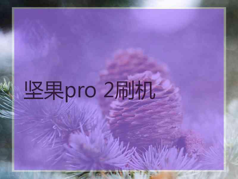 坚果pro 2刷机