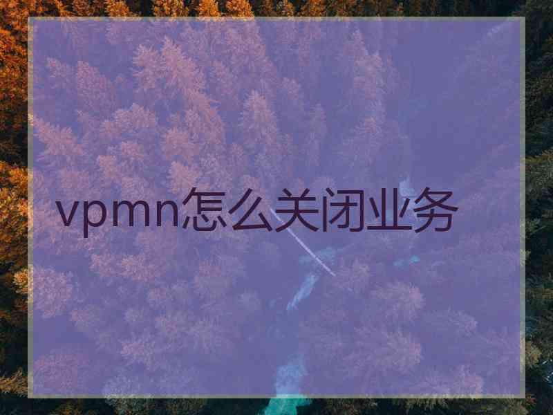 vpmn怎么关闭业务