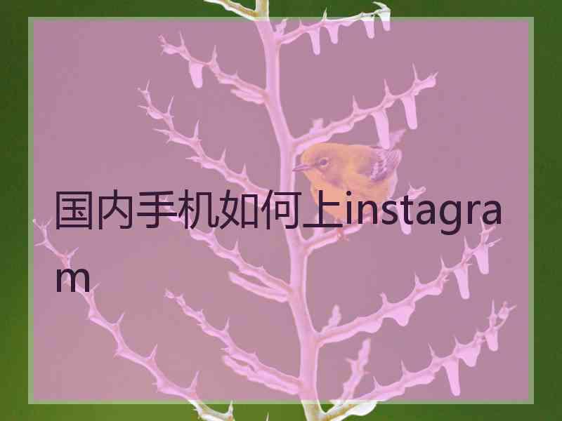 国内手机如何上instagram