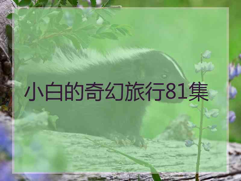 小白的奇幻旅行81集