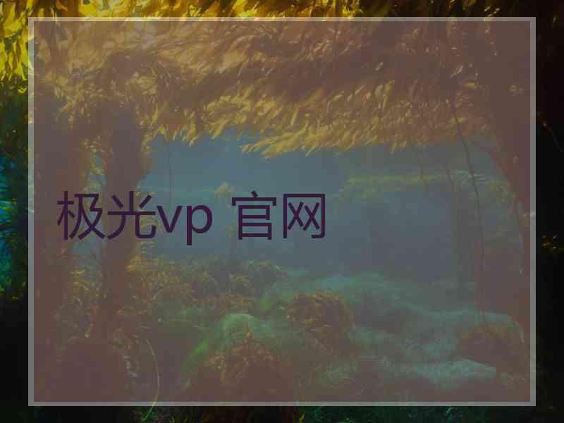 极光vp 官网