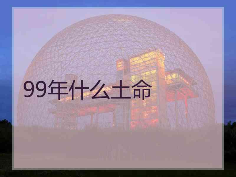 99年什么土命