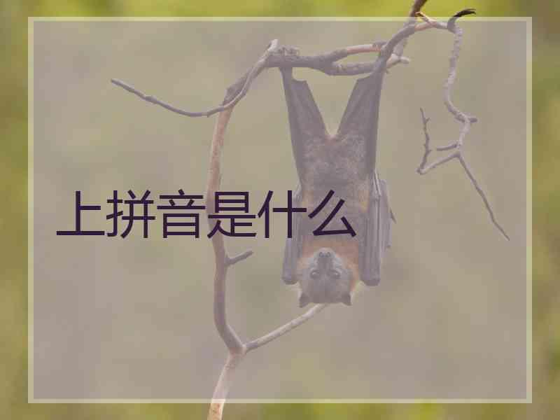 上拼音是什么