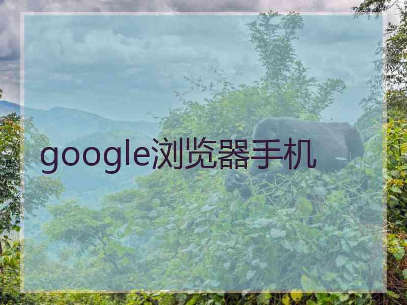 google浏览器手机