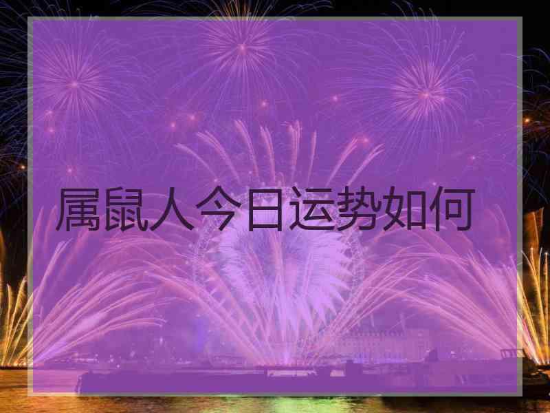 属鼠人今日运势如何