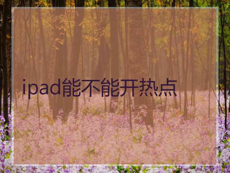 ipad能不能开热点