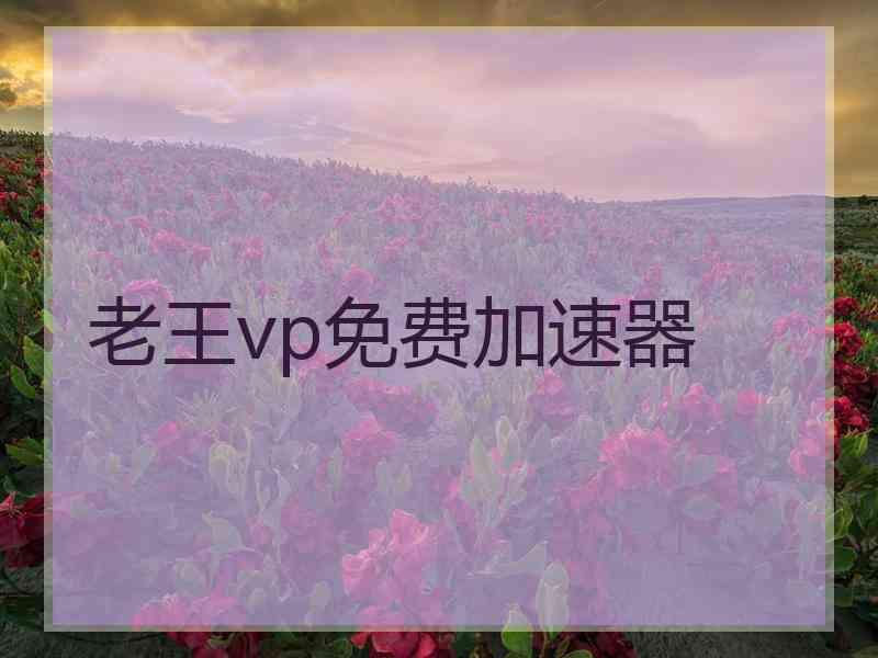 老王vp免费加速器