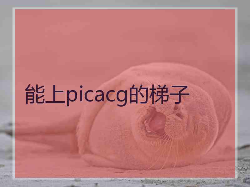 能上picacg的梯子