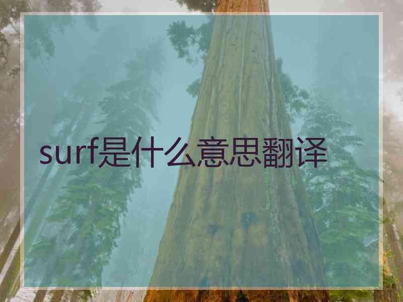 surf是什么意思翻译