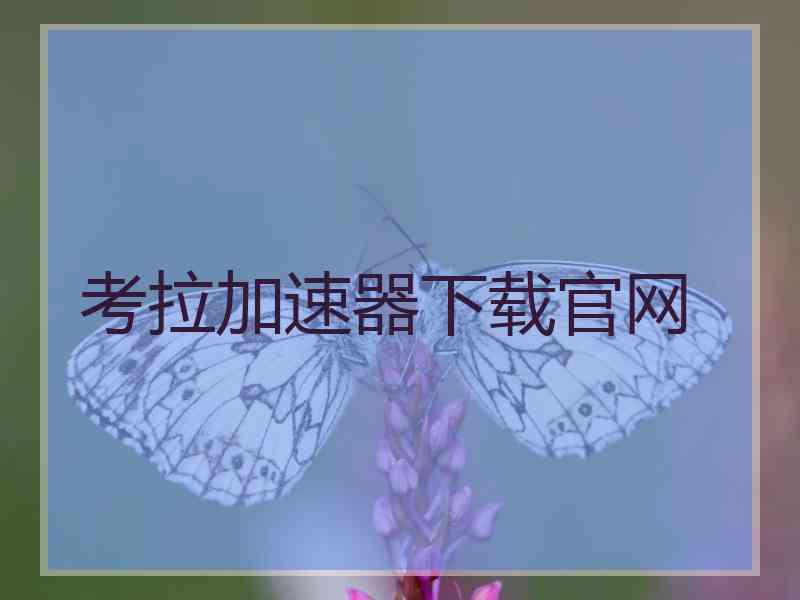 考拉加速器下载官网