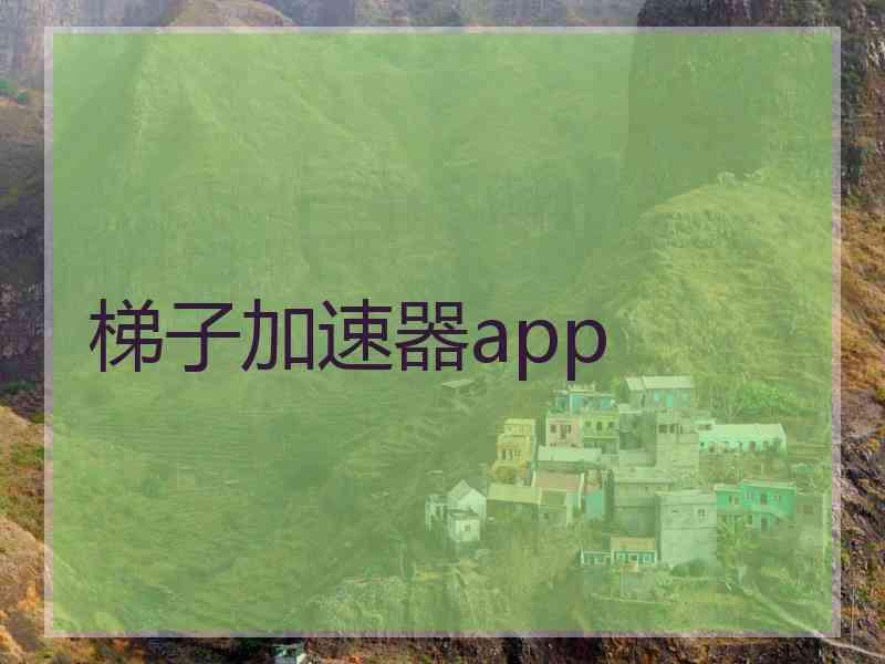 梯子加速器app