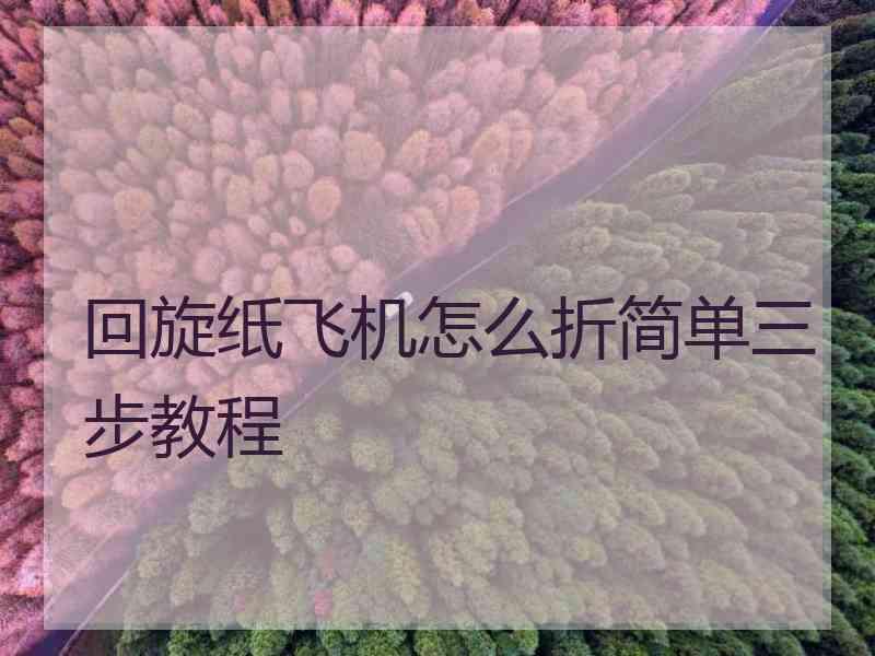 回旋纸飞机怎么折简单三步教程