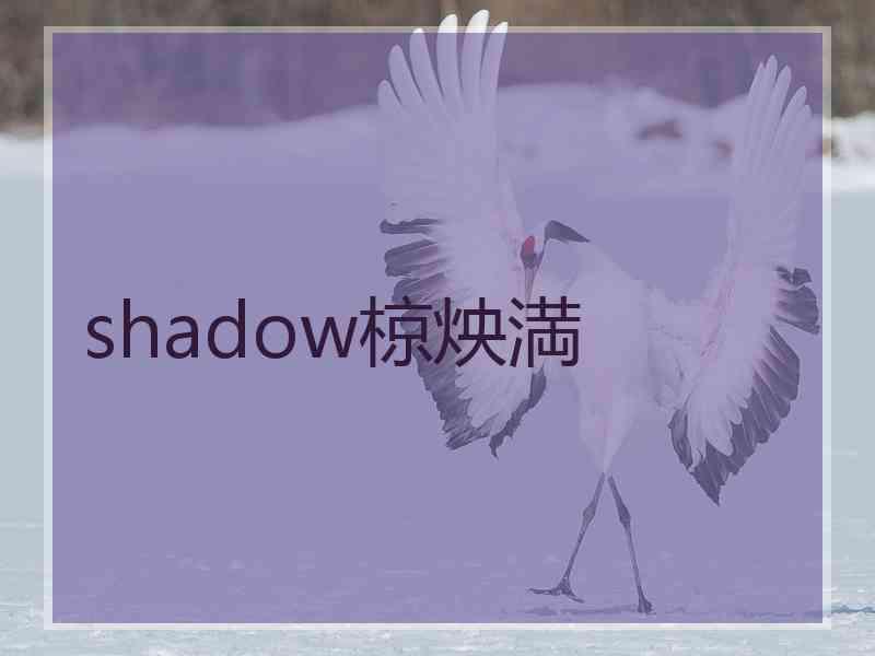 shadow椋炴満