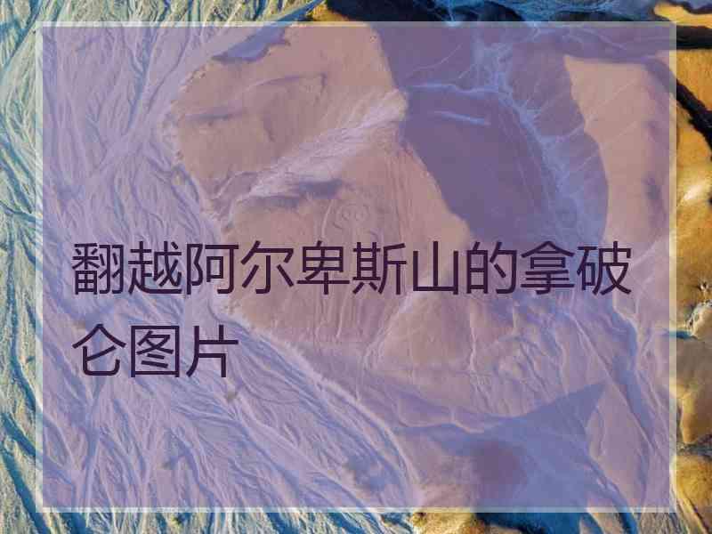 翻越阿尔卑斯山的拿破仑图片