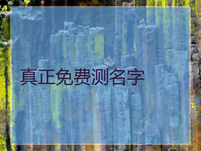 真正免费测名字