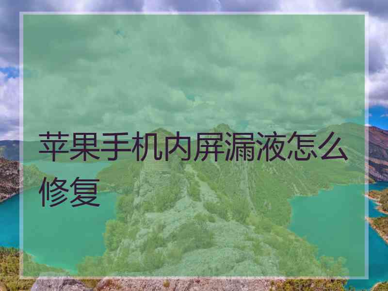 苹果手机内屏漏液怎么修复