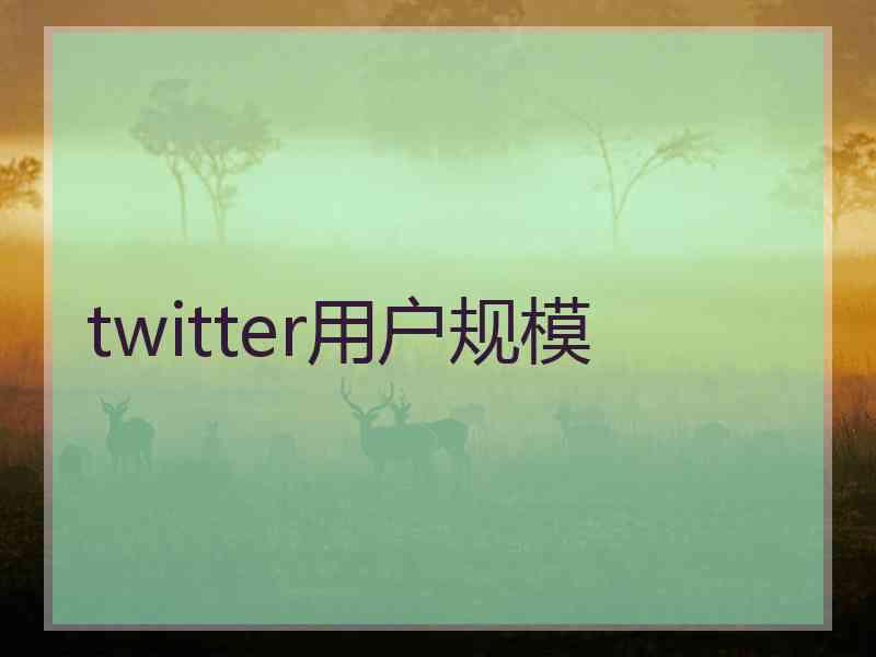 twitter用户规模