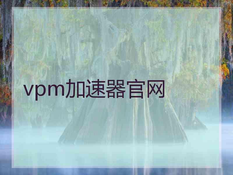 vpm加速器官网