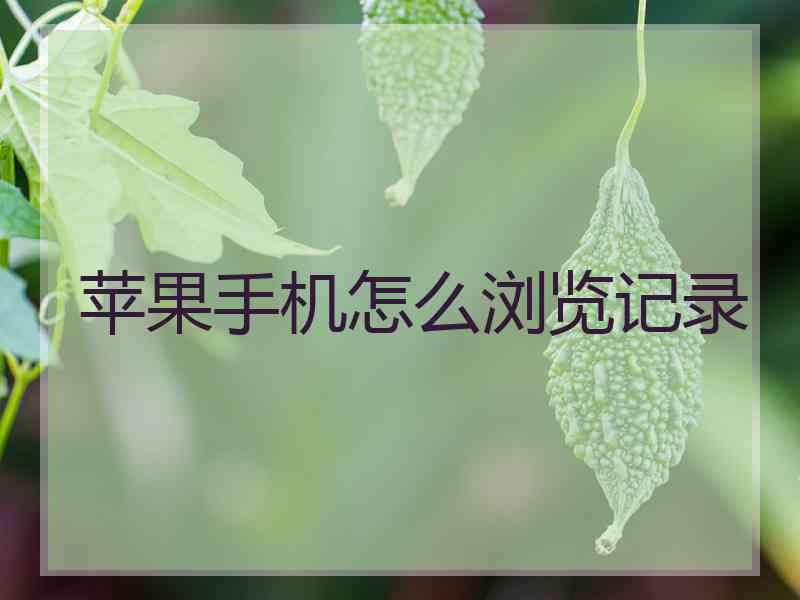 苹果手机怎么浏览记录