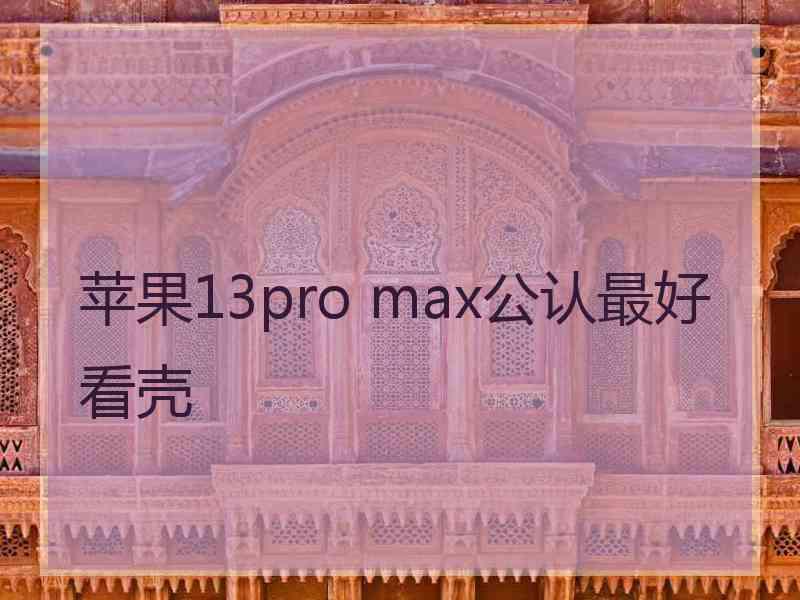 苹果13pro max公认最好看壳