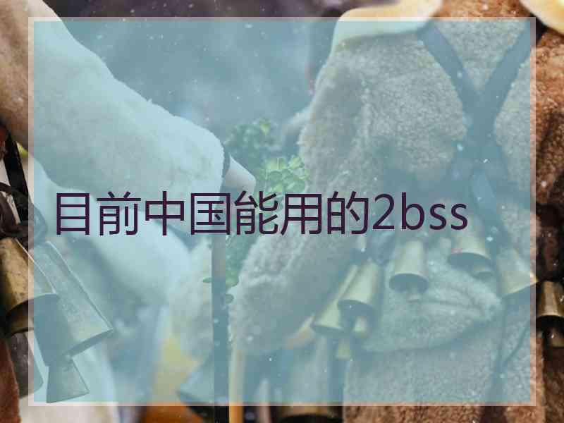 目前中国能用的2bss