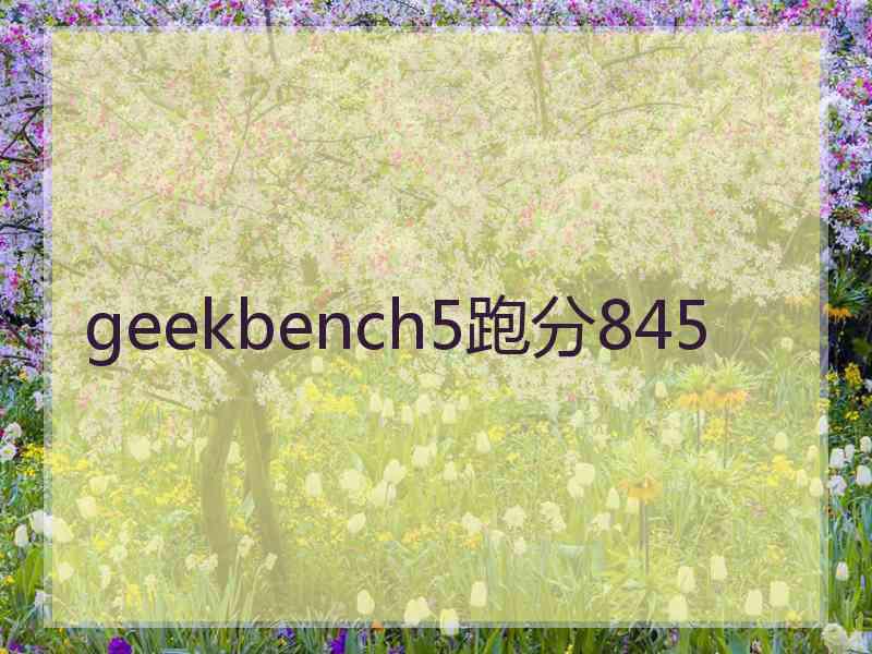 geekbench5跑分845