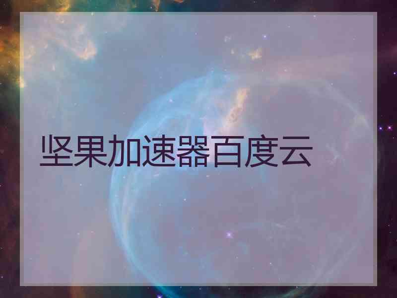 坚果加速器百度云