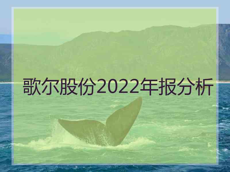 歌尔股份2022年报分析