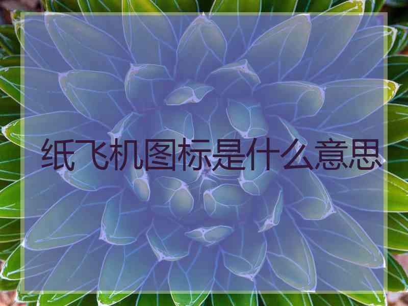 纸飞机图标是什么意思