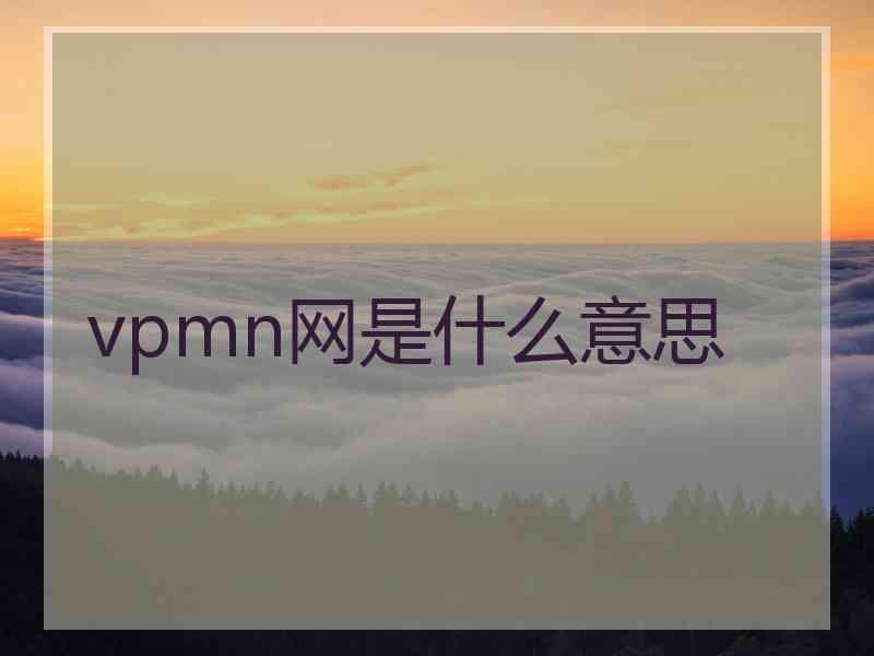 vpmn网是什么意思