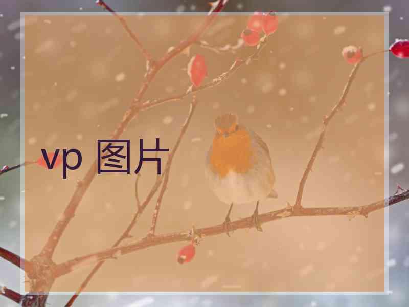 vp 图片