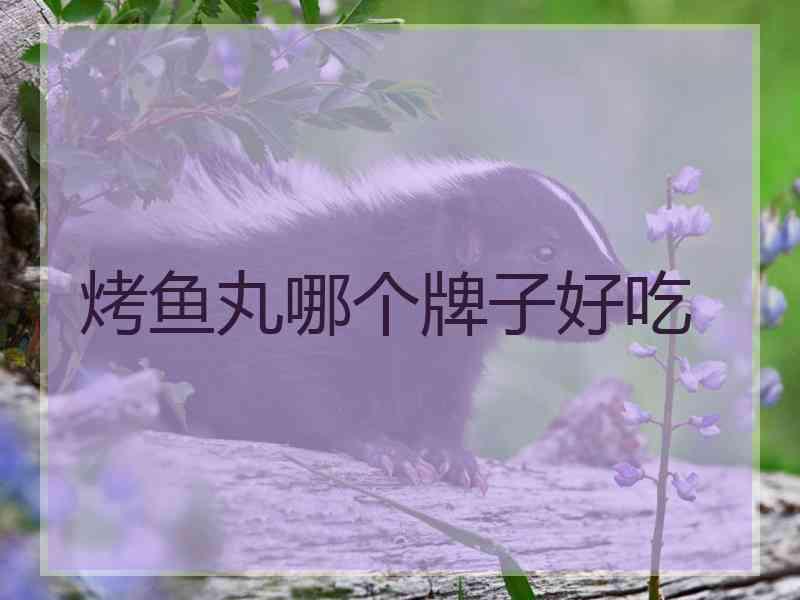 烤鱼丸哪个牌子好吃